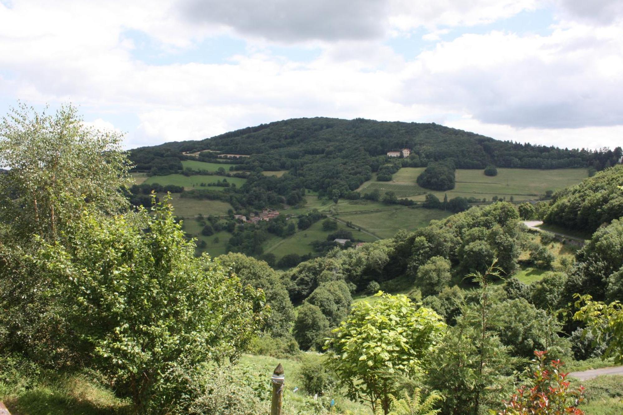 Gites Des Esselards Yzeron Exterior photo